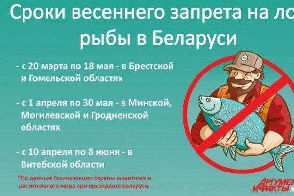 Нерестовый запрет 2021 в Ростовской области: новый закон о рыбалке